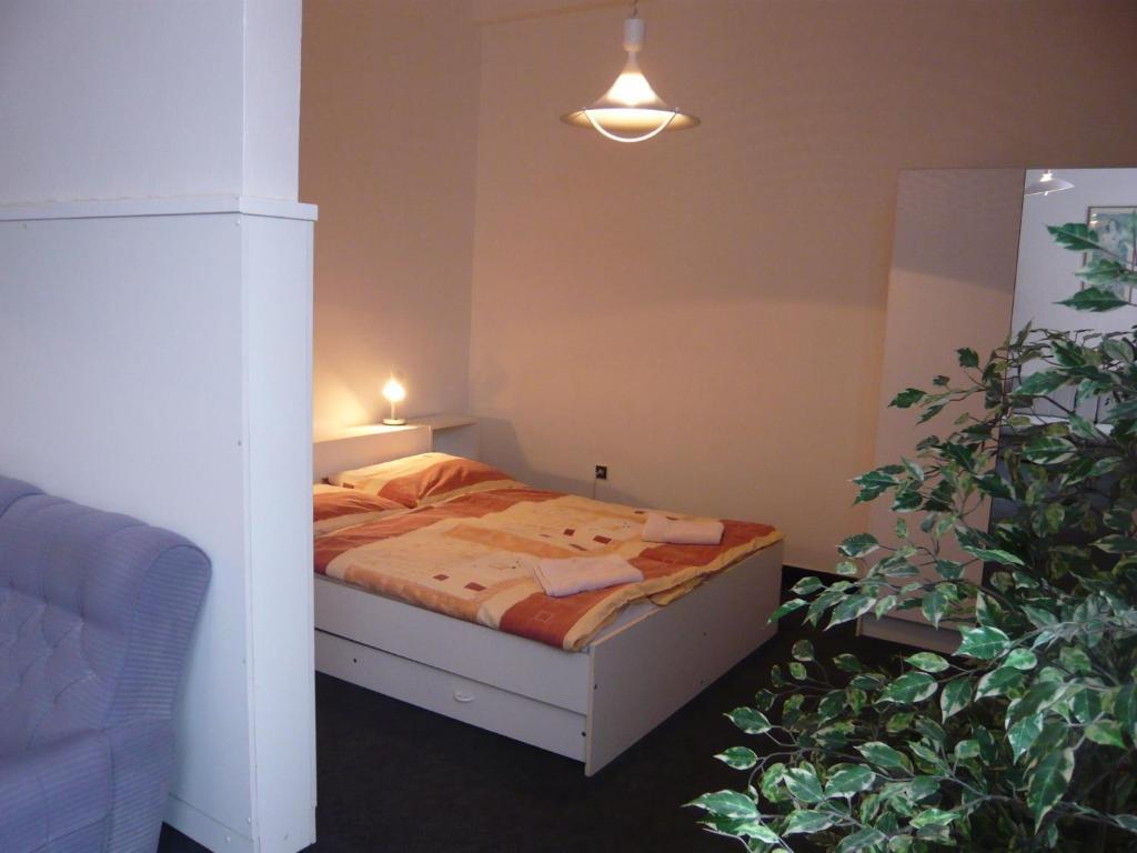 Hotel Hasa Praga Habitación foto